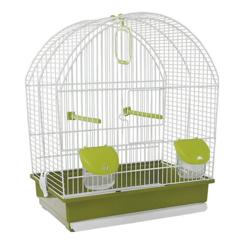 MASCOTAS ¿QUÉ NECESITAS PARA CUIDAR A UN PÁJARO? MASCOTAS ¿QUÉ NECESITAS PARA CUIDAR A UN PÁJARO?