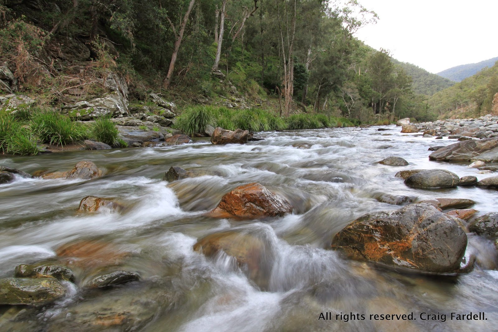 awildland Styx River Oxley Wild Rivers National Park