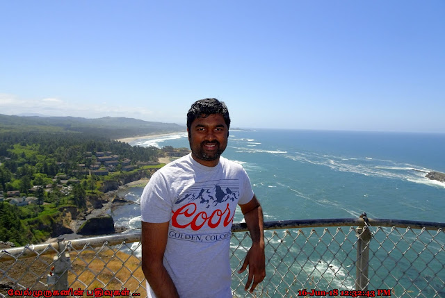 Otter Crest State Scenic Viewpoint