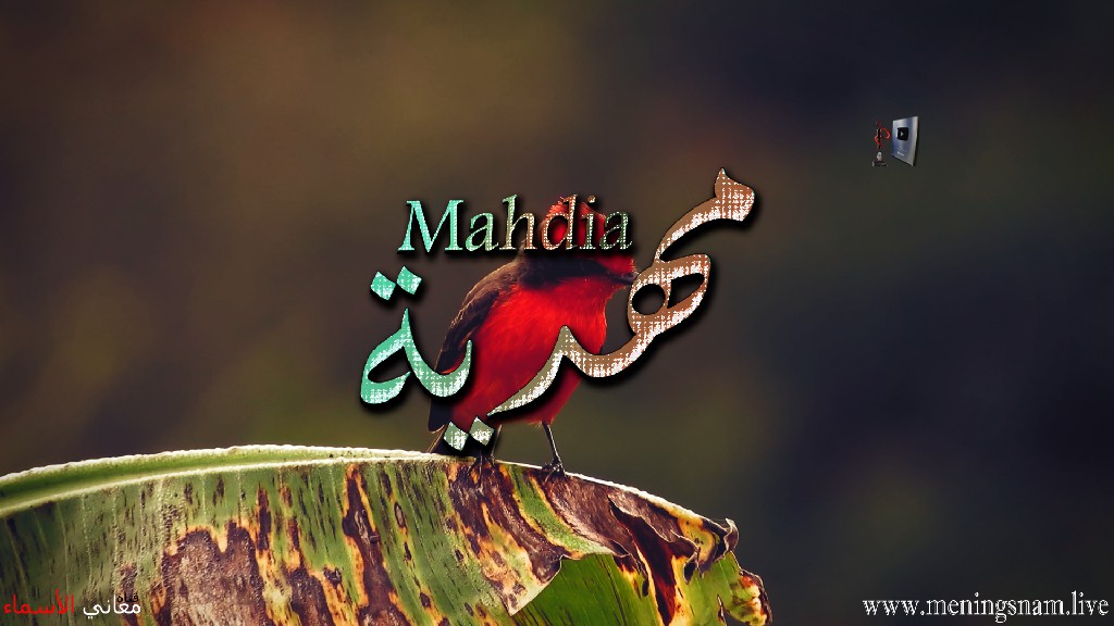 معنى اسم, مهدية, وصفات, حاملة, هذا الاسم, Mahdia,