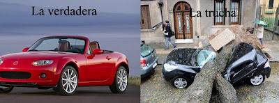 Tormenta 2012 Uruguay Árbol caído auto