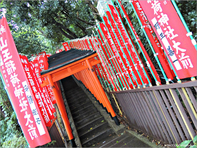 Túnel de Puertas Torii en el Santuario de Hie, Tokio