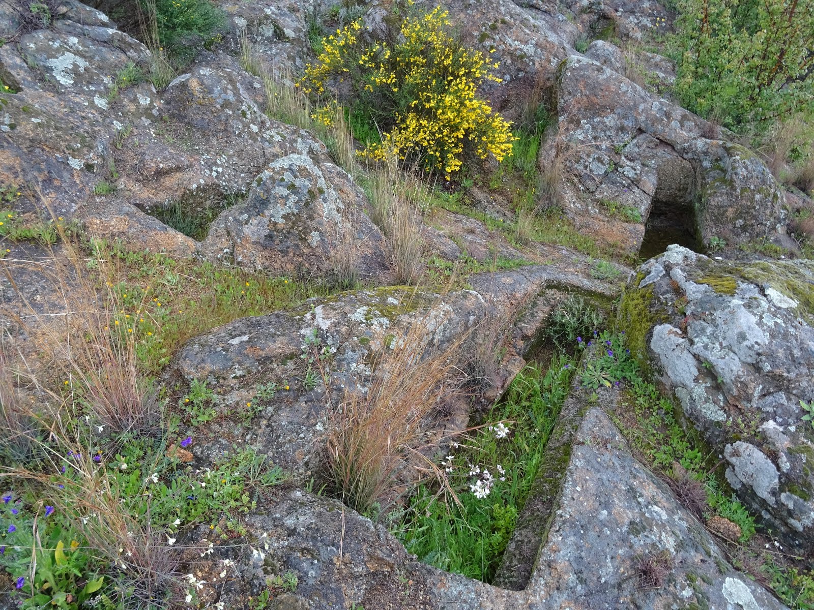 Cementerio judío y juderías de Plasencia