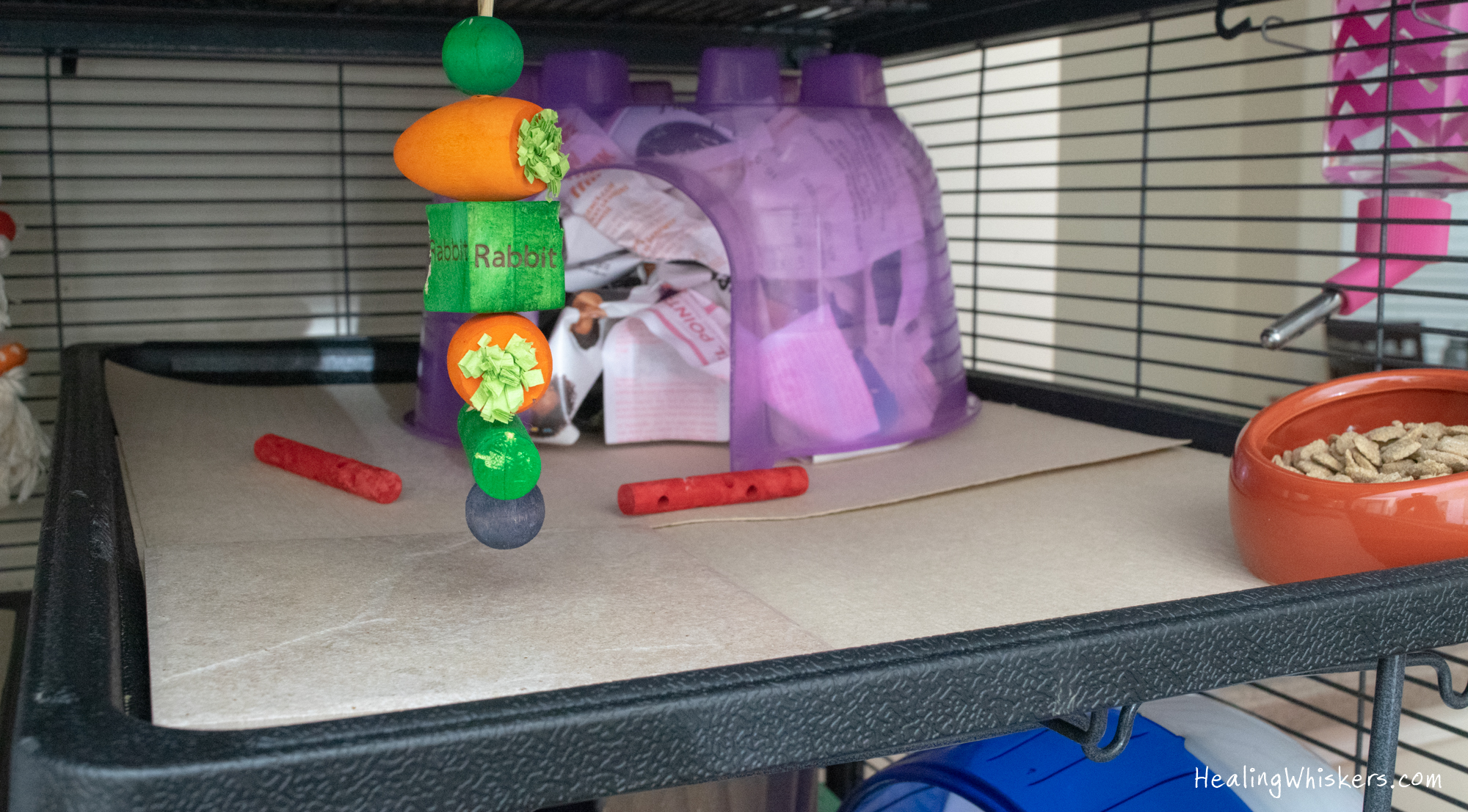 Healing Whiskers Review How to Keep Your Rat's Cage Smelling Fresh