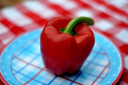 Paprika Merah Paprika Merah
