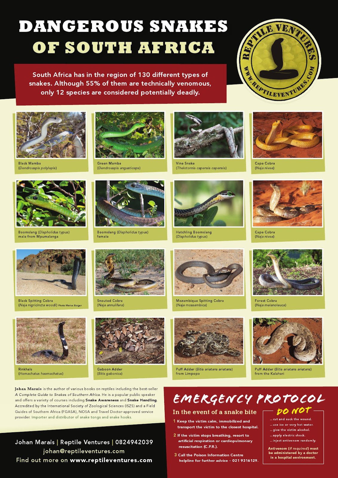 travelcomments com official blog free poster quot dangerous snake identification chart south africa