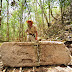 INAH encuentra 19 estelas mayas en Campeche