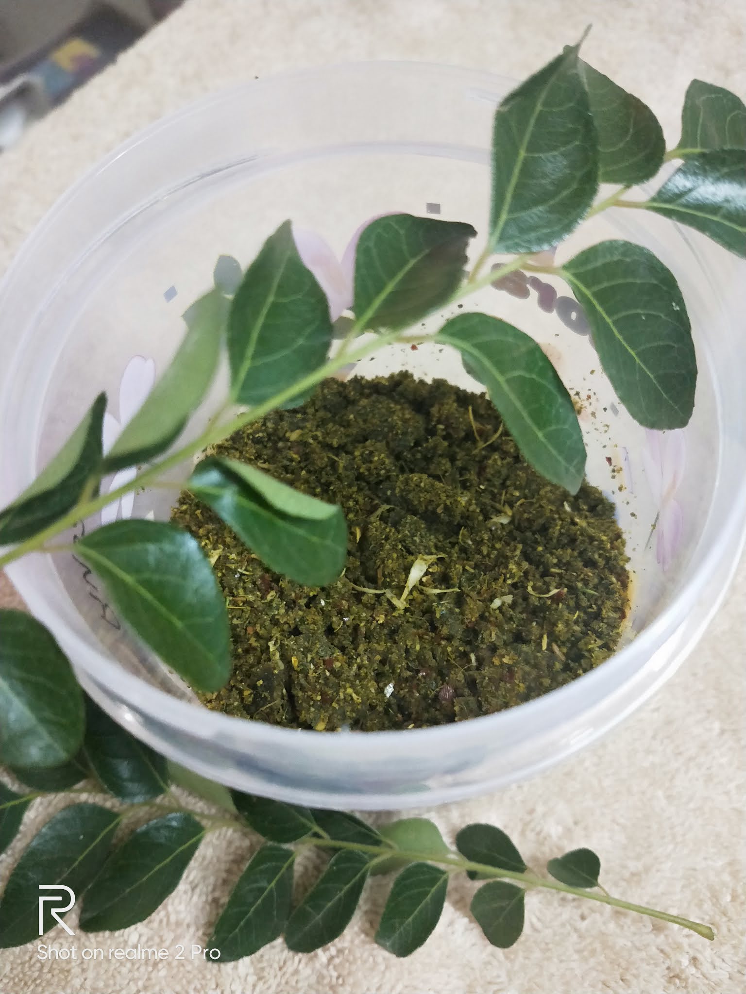 ARTS, CRAFTS, COOKING CURRY LEAF POWDER RECIPE /KARIVEPAKU KARAM