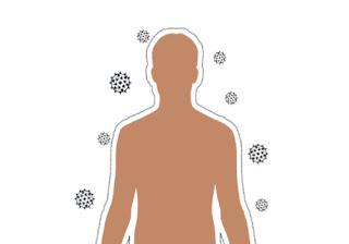 Honey and cinnamon Enhance Immunity