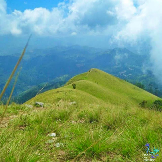 නාරංගෙඩියේ හැඩයෙන් යුතු - නාරංගල 🍊⛰(Narangala🍊) - Your Choice Way