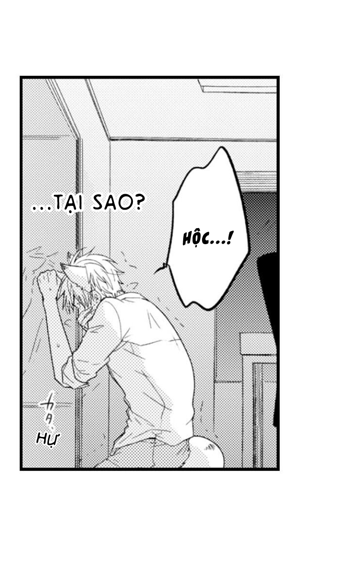 Đọc truyện Ai Muốn Được Yêu Thương Nào - Chapter 2
