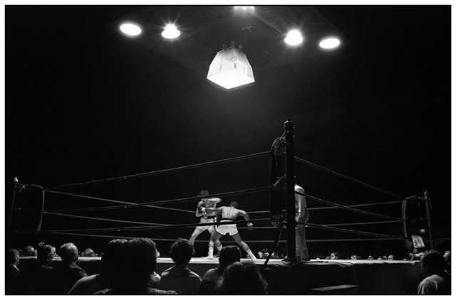 boxing-ring.gif