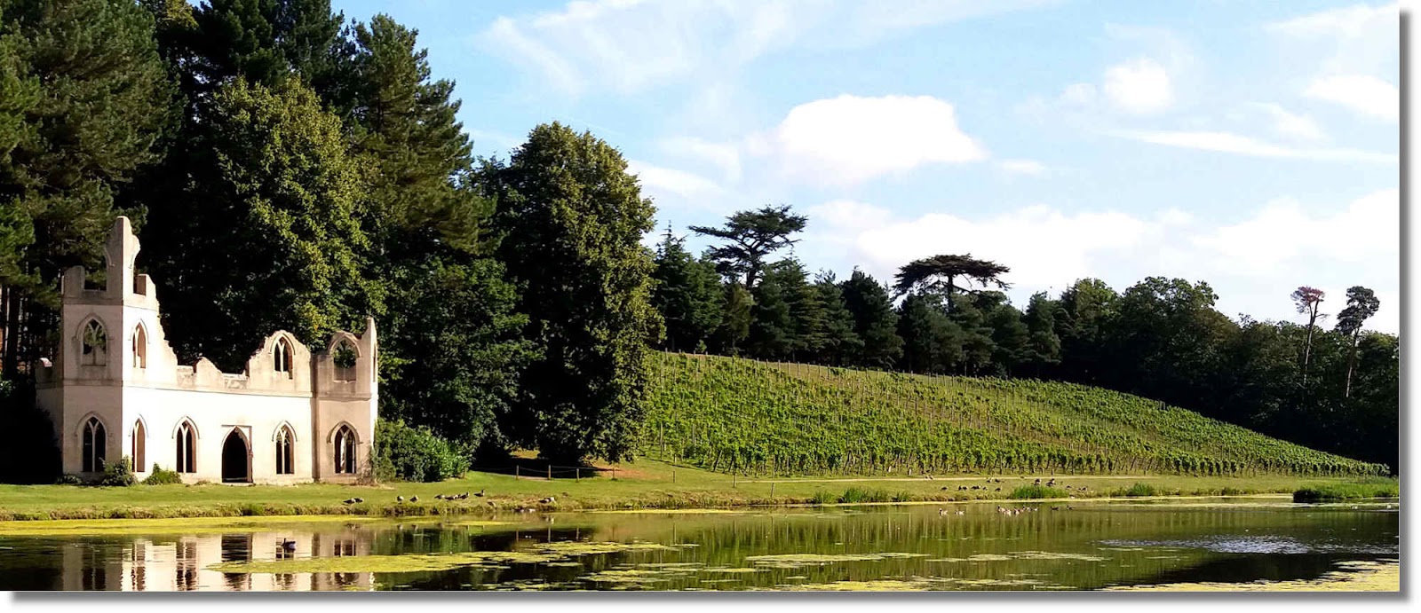 Painshill Painshill