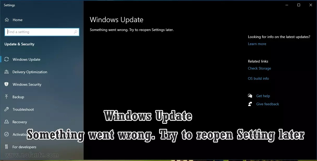 Windows Update - Something went wrong. Try to reopen Setting later (Win 10)