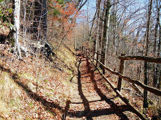 The Appalachian Trail in Smoky Mountain National Park