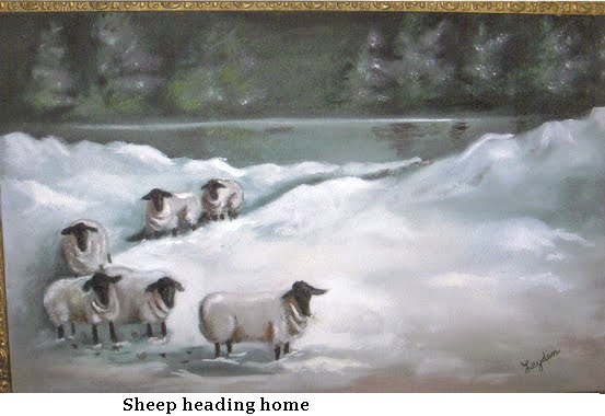 sheep heading home #151