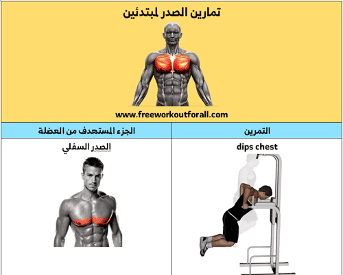 تمرين الدبس