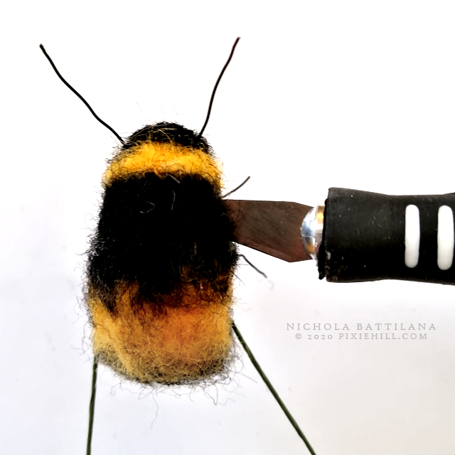 Pixie Hill: All about bee wings