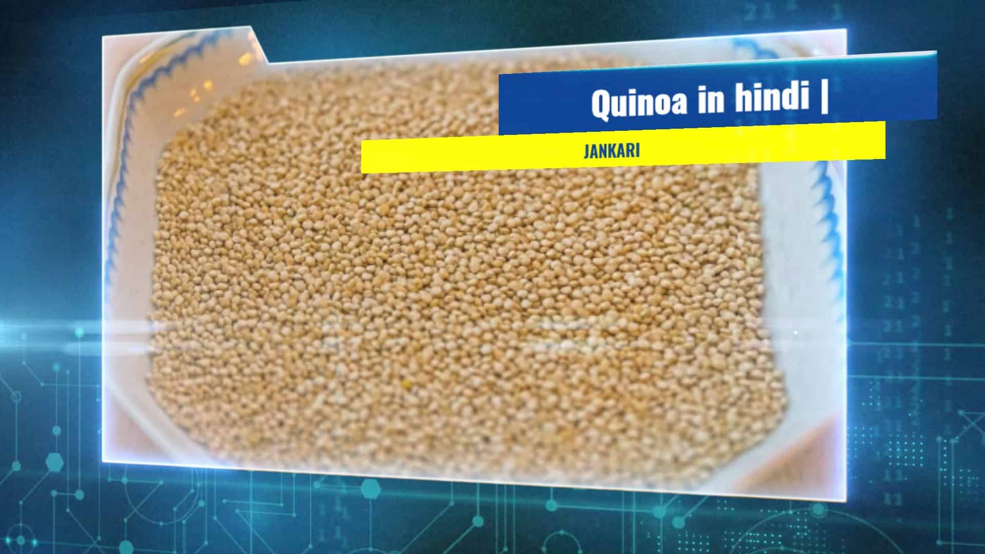 Quinoa in hindi jankari quinoa nutrition quinoa jankari hindi me MEDICINE INFORMATION IN