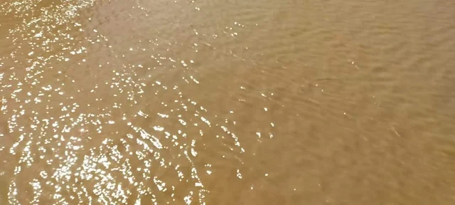 مياه النيل باللون البني - بسبب السيول عكارة التهر تصل إلى القاهرة