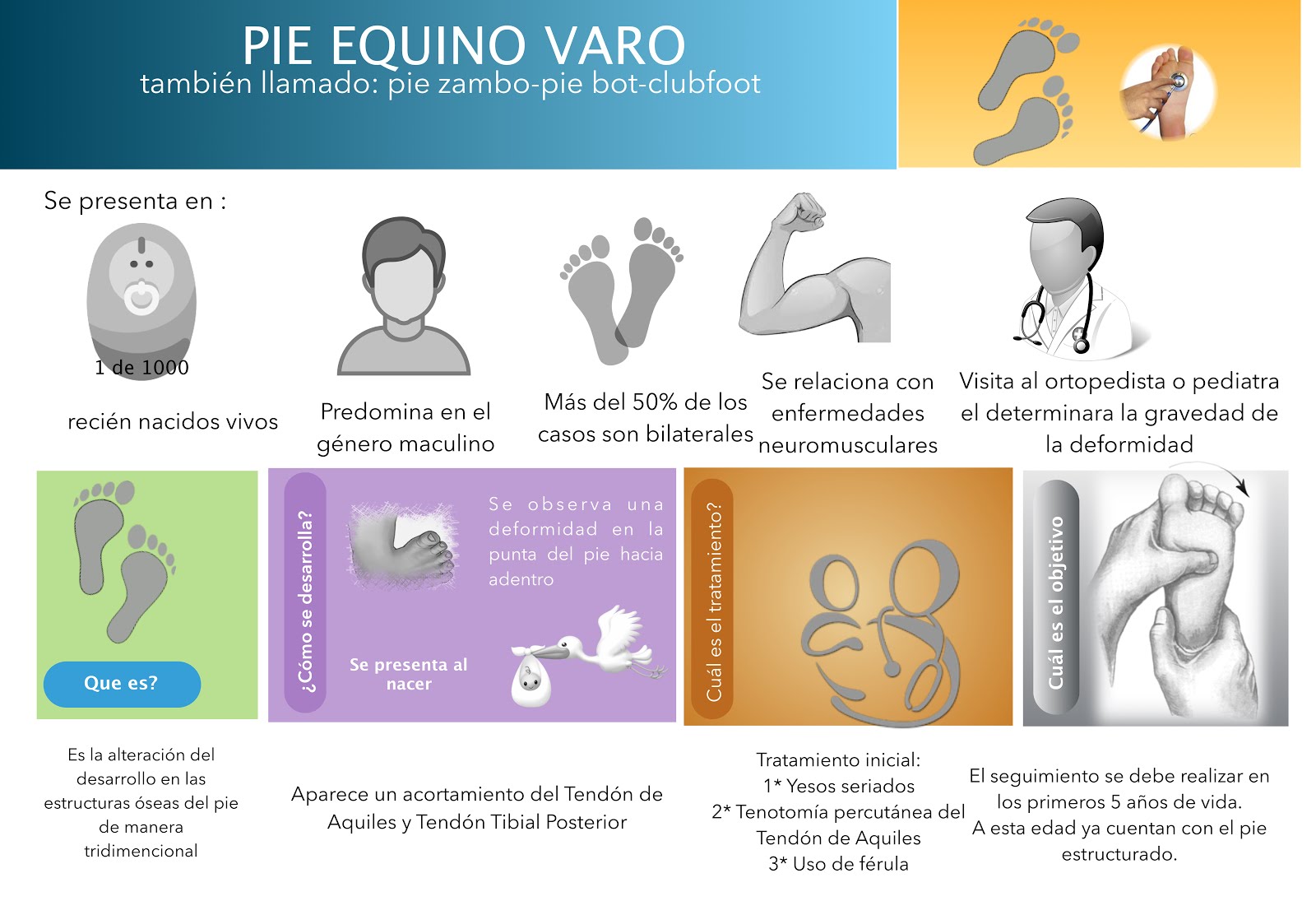 La Casa del Pie Ltda Pie Equino Varo