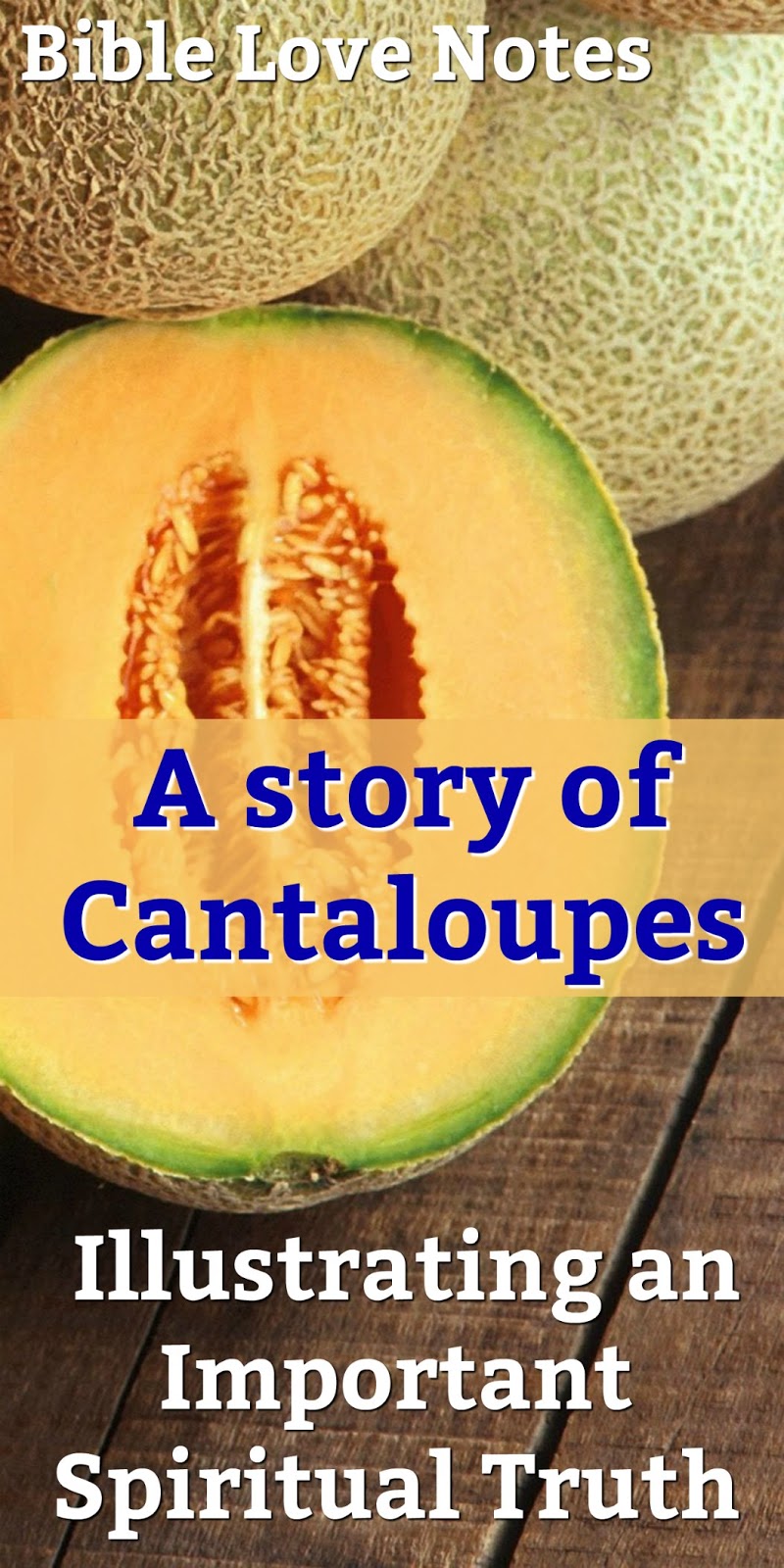 Bible Love Notes Guarding Our Reputation Proverbs 42327