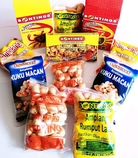 produksi aneka makanan ringan Contoh Usaha Rumahan Untuk Ibu Rumah Tangga