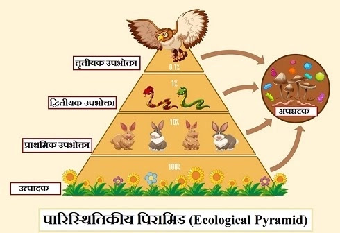 What is an Allotment Letter  Its Format and Meaning in Hindi  Marathi