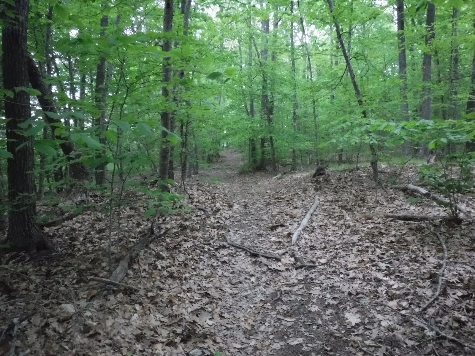 Fields Pond Aububon Center Lake Shore Trail