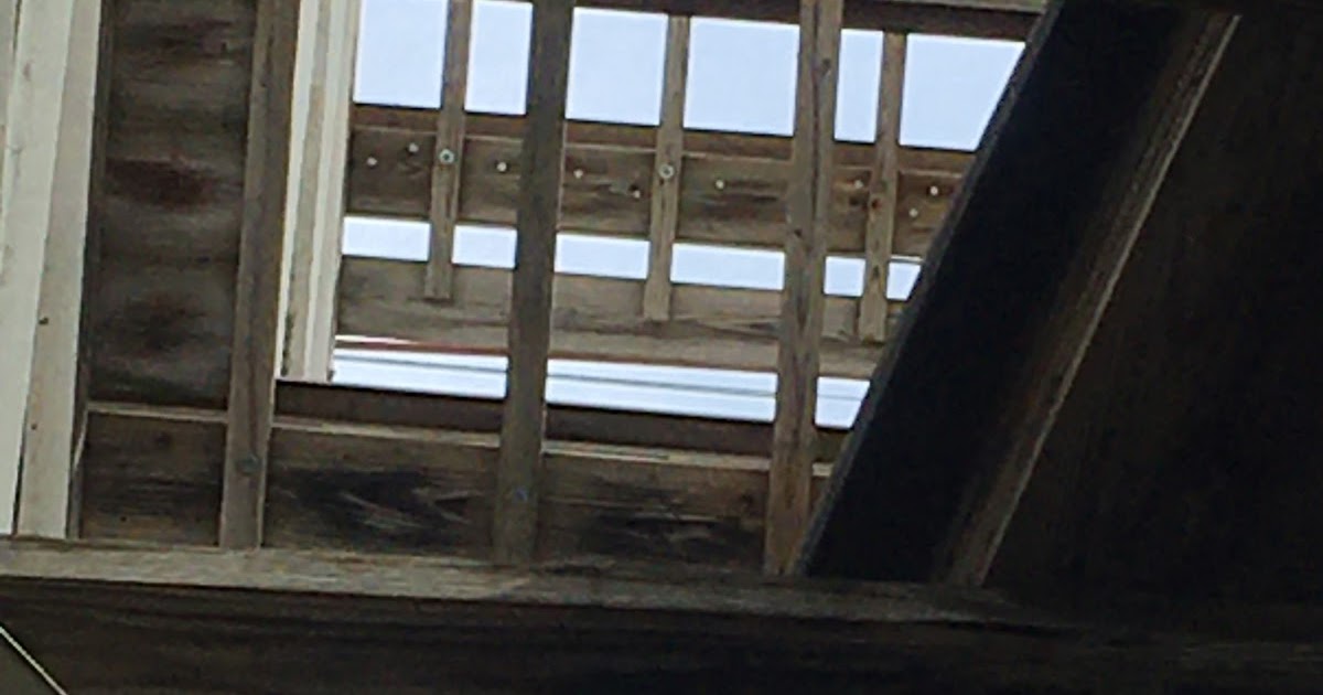 PMV Rides Trip Report 3 Indiana Beach Monday, June 29, 2020