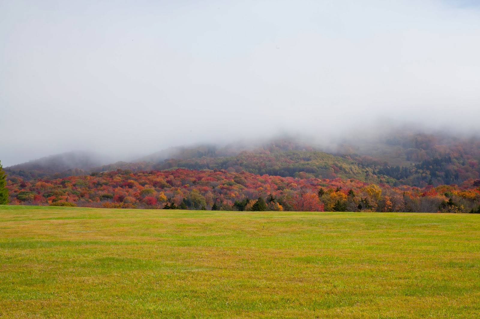 Lincoln's Domain Canaan Valley