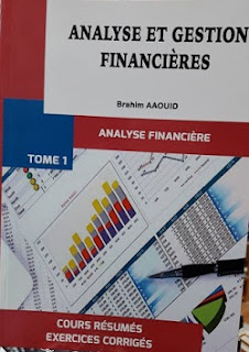 Analyse et gestion financière - Tome 1