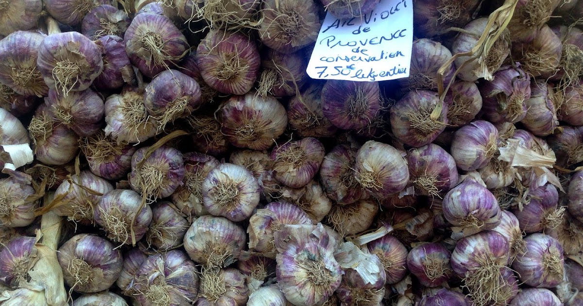 Focus On Paris Garlic Provence