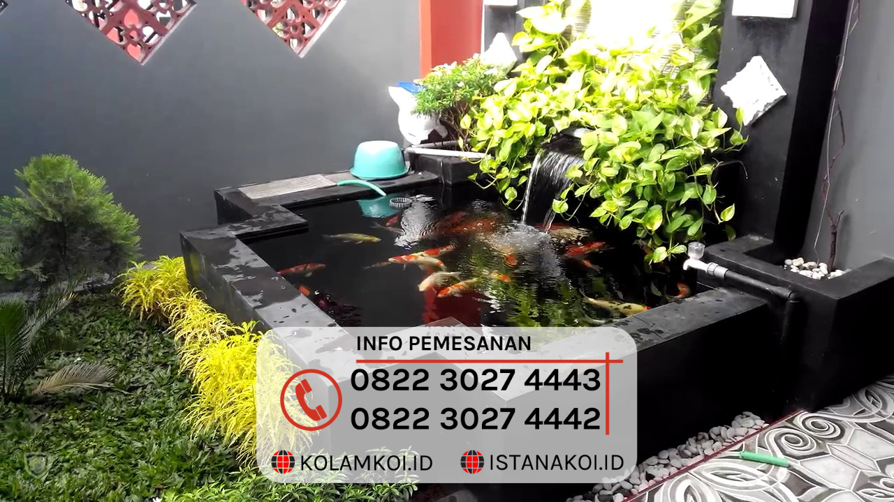 jasa pembuatan kolam koi Malang