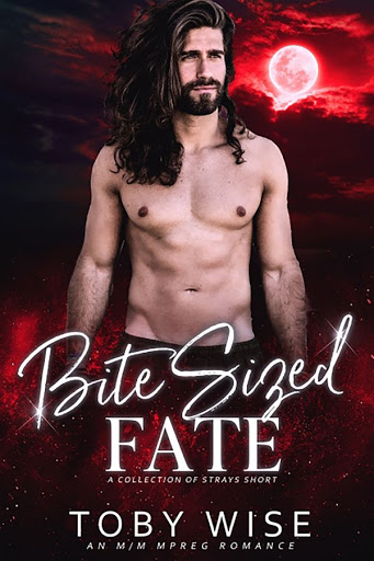 Bite sized fate | A collection of strays #5.5 | Toby Wise Bite sized fate | A collection of strays #5.5 | Toby Wise
