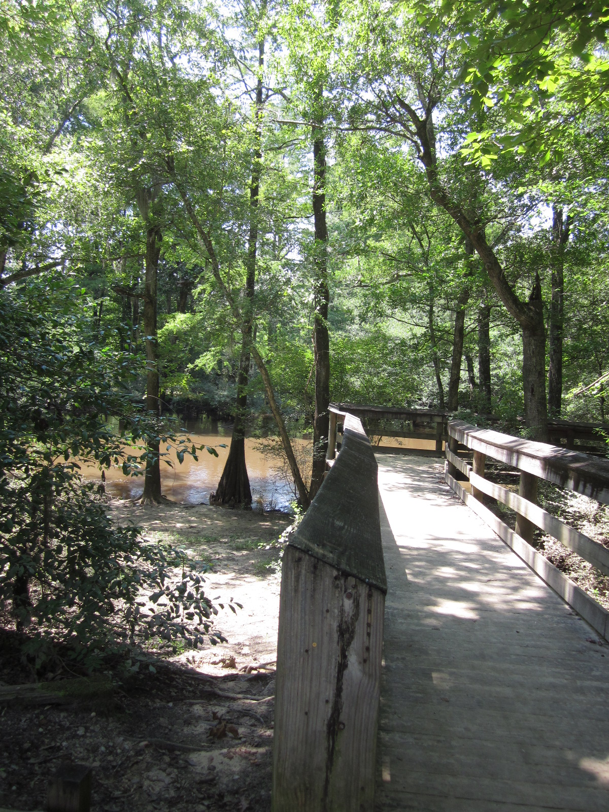 Love 2 Travel With Kids Lynches River County Park and Canopy Walk in