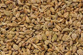 Ajwain Benefits in Urdu - INDUSPRESS.COM Ajwain ke Fayde | Ajwain ke 16 Fayde