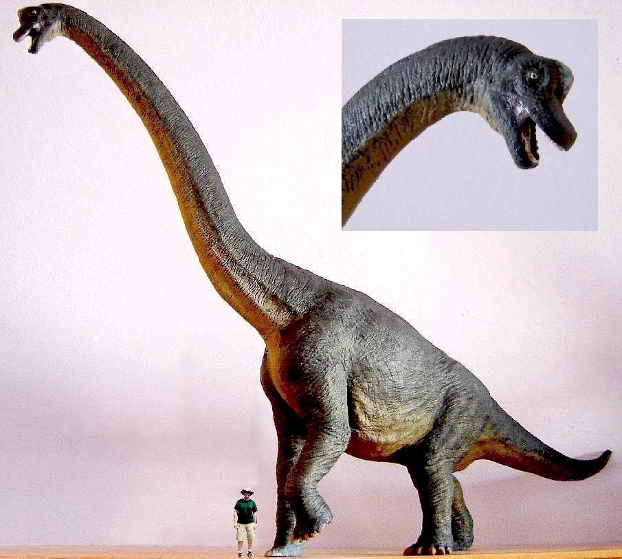 Самый травоядный динозавр