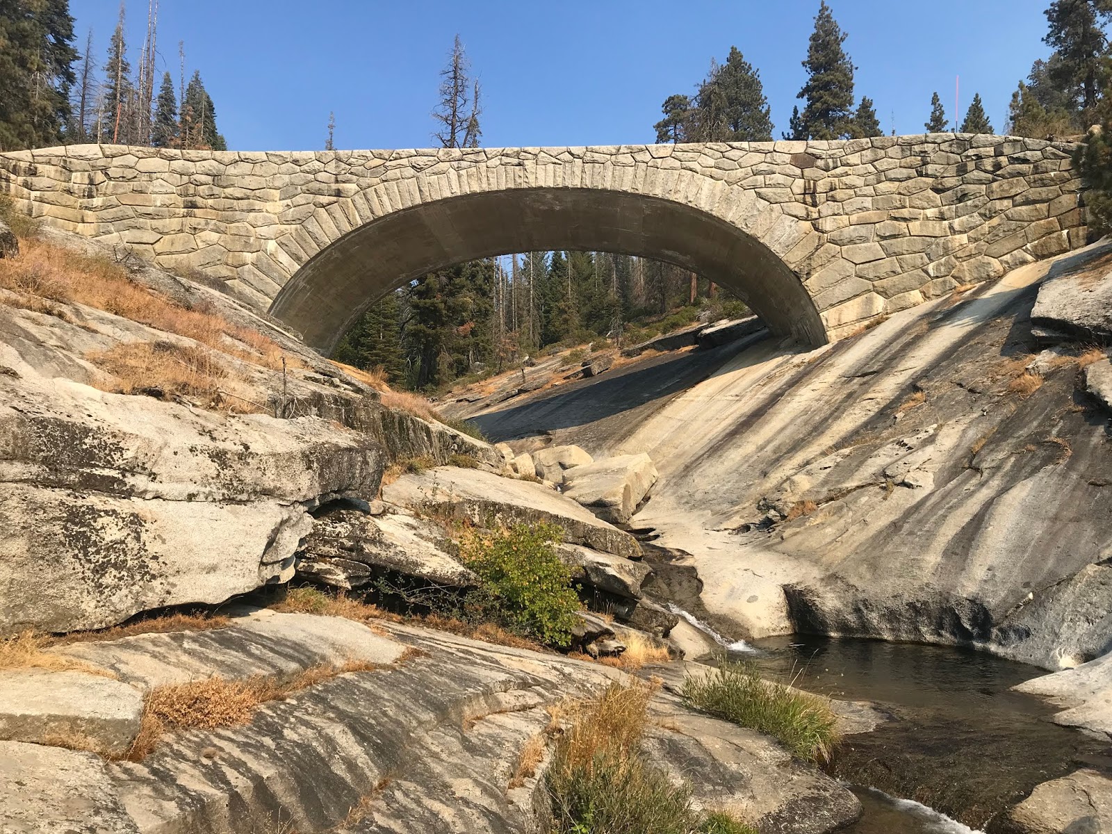 The Generals Highway; connecting Kings Canyon National Park and Sequoia