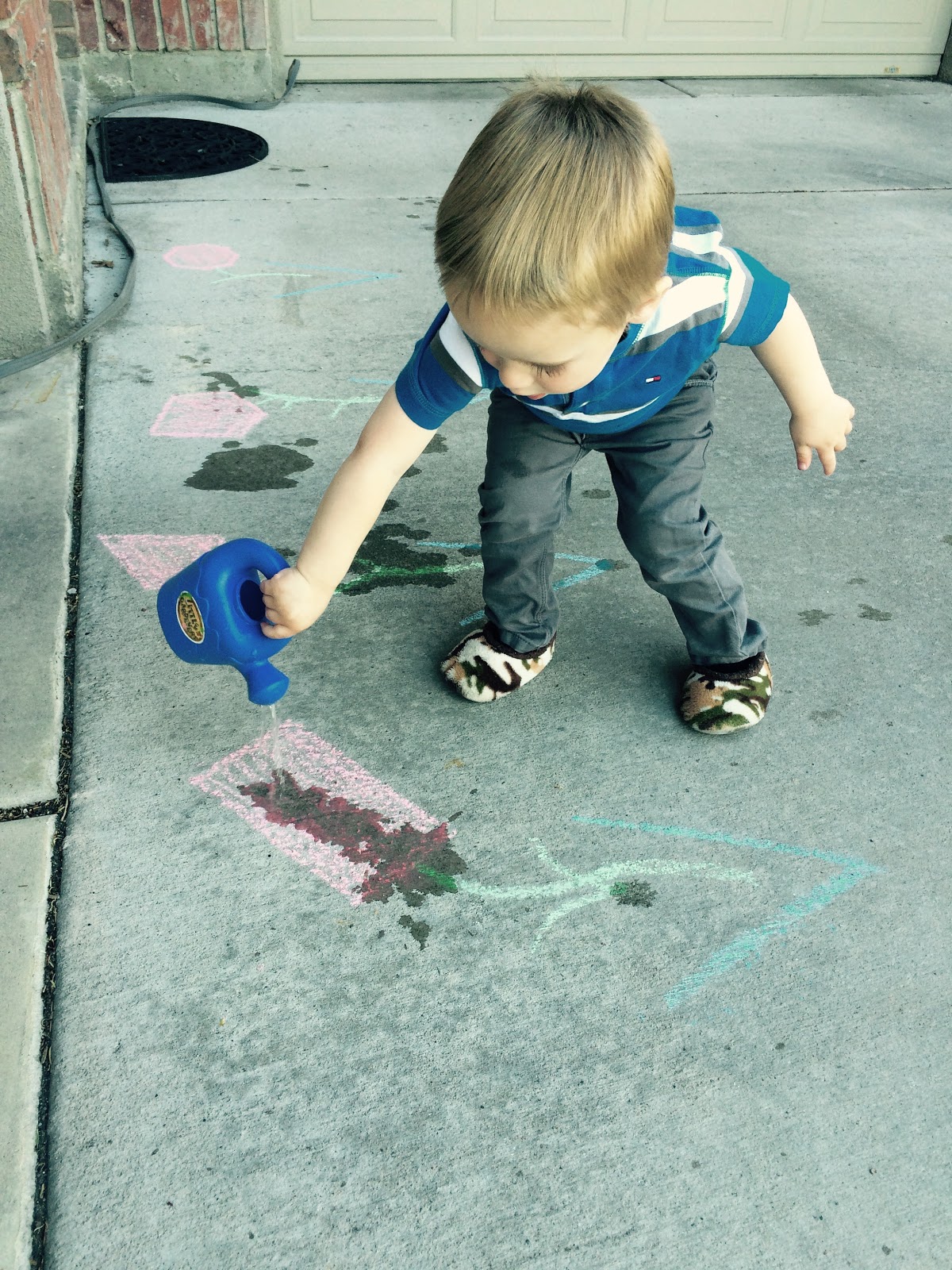 Download Dyeing Pine Cones With Food Coloring
