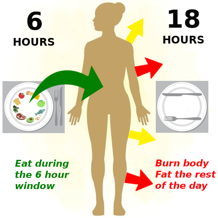 Body fat calculator + 4 week weight loss plan