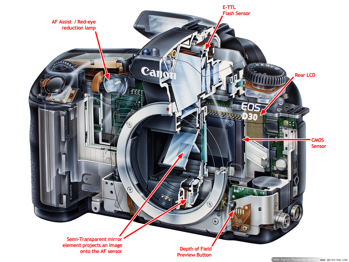 ART 80 Elements of Photography Week 3 Camera Function Lecture