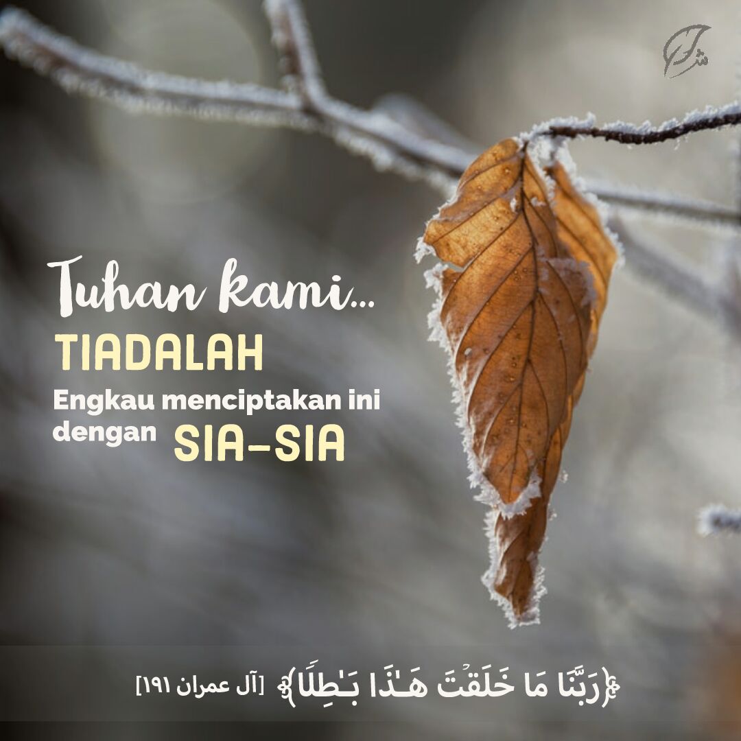 Membiasakan Zikir Dan Pikir Menyandang Predikat Ulul Albab Ali Imran 191 Syarif Id