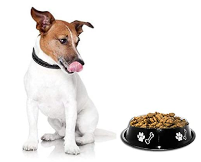 LOKO Stainless Steel Dog Food Bowl Anti Skid Dog Bowl with Black Ring
