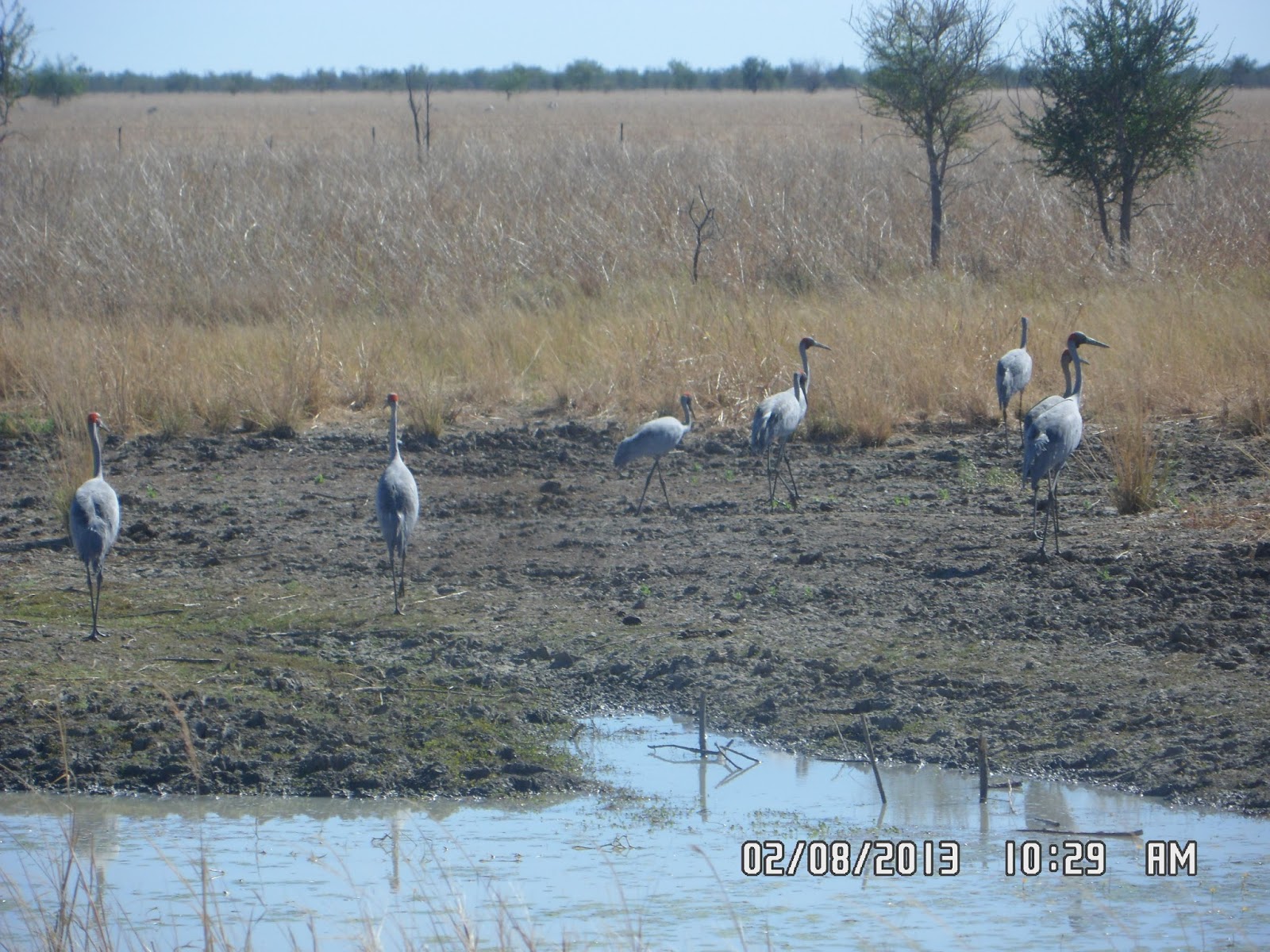 Vannessa's Story 1st to 8th August Karumba to Cloncurry