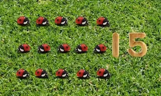 15 ladybugs are counted in the garden. Sesame Street Count On Elmo