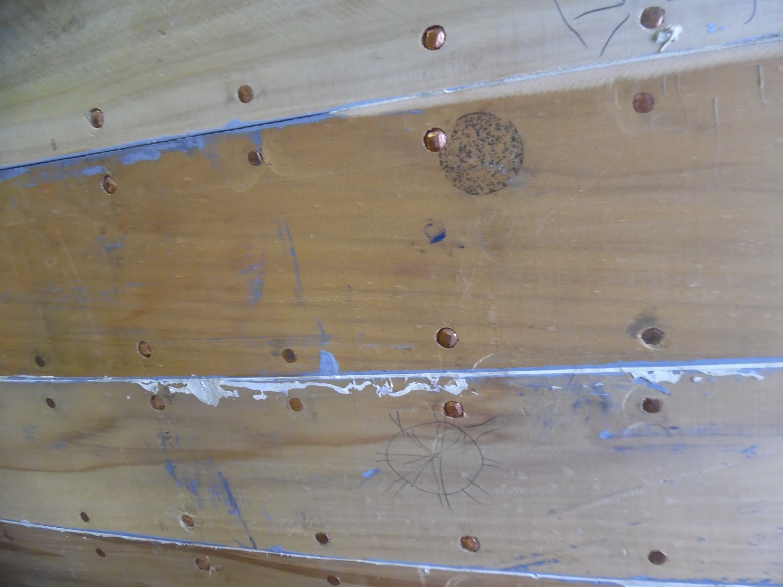 The World of Norfolk's MuseumThe World of Norfolk's Museum Ribs, roves