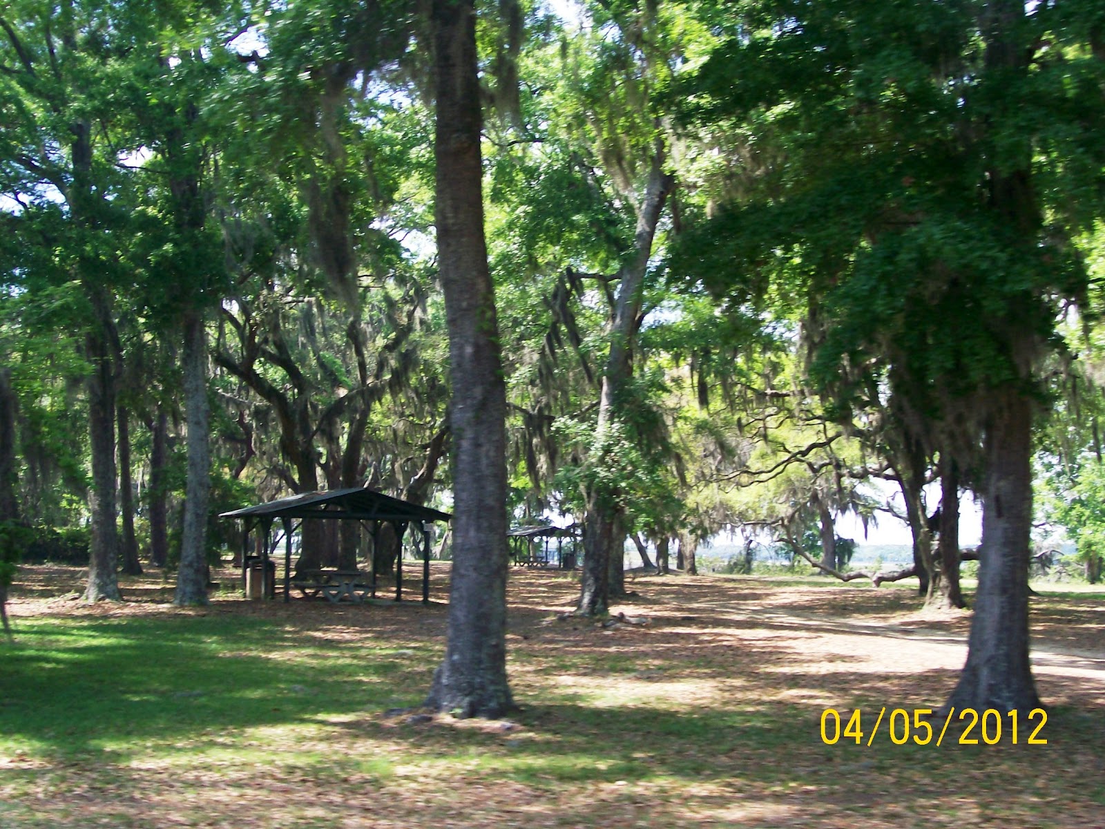 Rockhounding Around Parris Island SC & my Marine