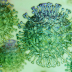 Situazione coronavirus del 20/03/2020