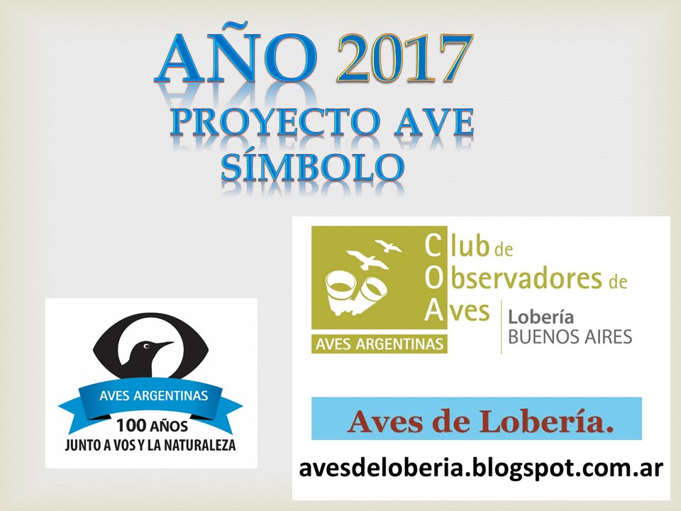 Proyecto 2017